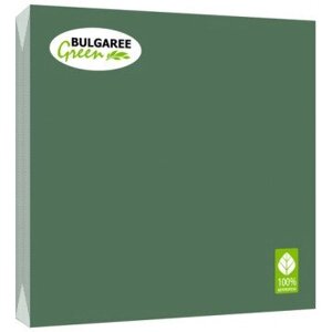 Салфетки бумажные BG 3-слойные (33х33 см, зеленые, 20 штук в упаковке)