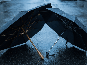 Зонт-автомат или трость: какой механизм выживет при сильном ветре?