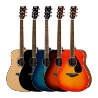 Акустические и классические гитары в Абакане