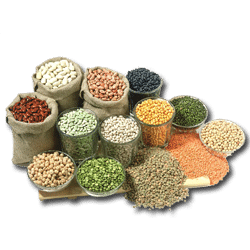Зерновые, бобовые и масличные культуры