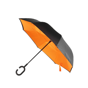 Зонты в Барнауле