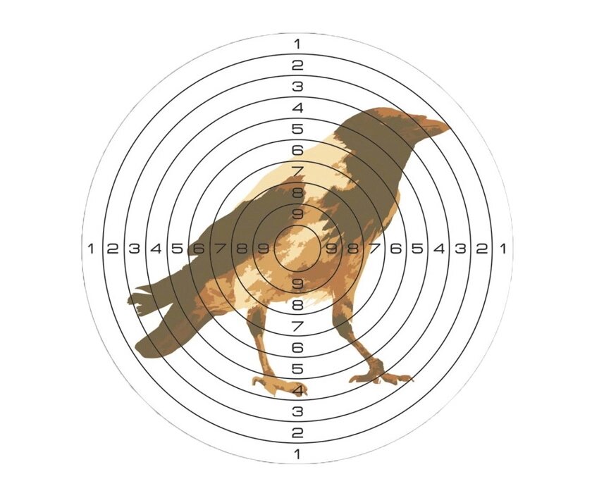 Мишени для пневматики 25 м цветная, рисунок «Ворона» (50 штук) от компании Интернет-магазин Pnevmat24 - фото 1