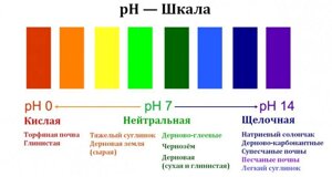 Поточная линия "Диметрон" для определения pH в почвенных растворах