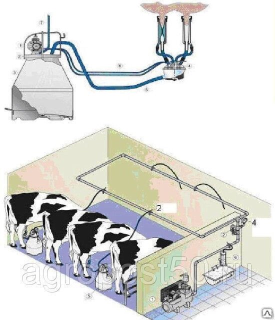 Стационарная доильная установка Melasty от компании СТРОИТЕЛЬНОЕ ОБОРУДОВАНИЕ - фото 1