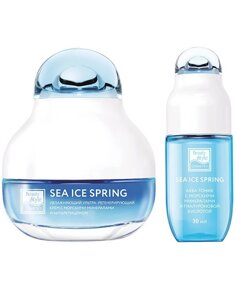 Набор увлажняющих средств с морскими минералами, гиалуроновой кислотой и антарктицином «Sea Ice Spring» 2 шага, Beauty