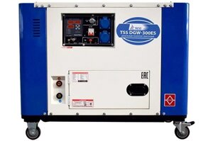 Дизельный сварочный генератор TSS DGW-300ES, 5 квт, 300а