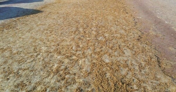 Песчано-солевая смесь, 25 кг от компании ООО АТУМ - фото 1