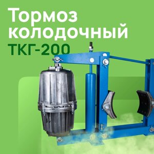 Тормоз колодочный ТКГ-200 с гидротолкателем ТЭ-30