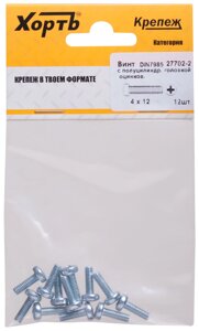 Винт с полуцилиндрич. головкой с полной резьбой оцинков. DIN 7985 4х12 12 шт.(фасовка)