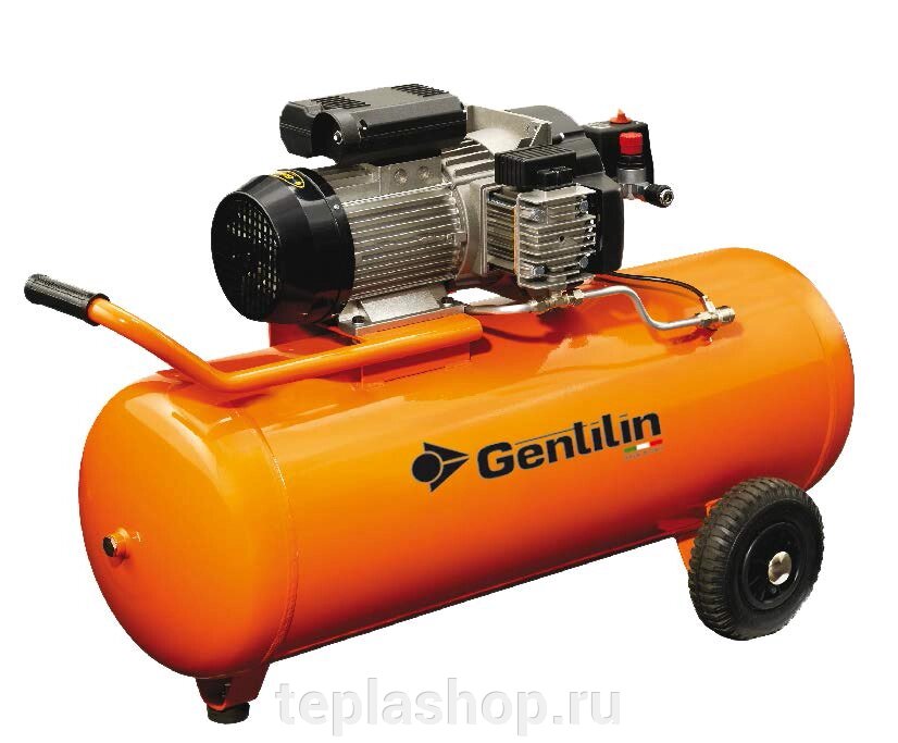 Безмаслянный компрессор Gentilin C330/100 от компании ООО "РВК" - фото 1