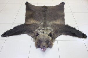 Шкура медведя (ковер 170 см)