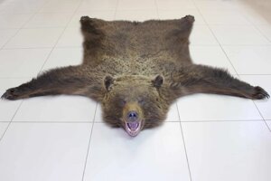 Ковер из шкуры медведя 200 см