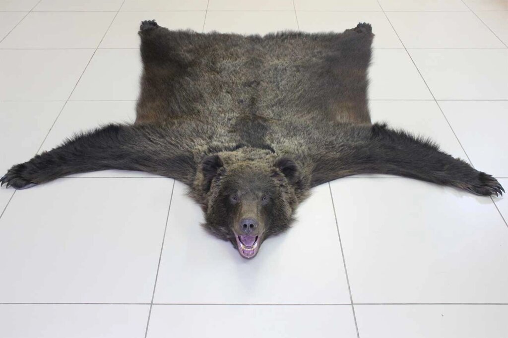 Ковёр из шкуры медведя 160 см - обзор