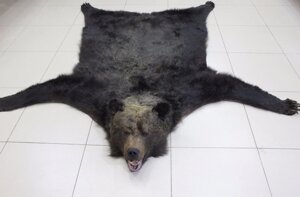 Ковёр из шкуры медведя 220 см