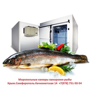 Холодильное Оборудование для Заморозки и Хранения Рыбы.