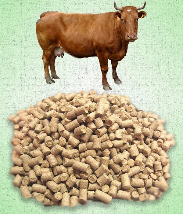 Протеин корова. Комбикорм КРС кк65. КК-60 комбикорм для КРС. Комбикорм кк60 для телят. Комбикорм для дойных коров к60-27676.