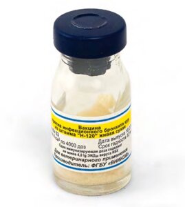 Вакцина ИБК против инфекционного бронхита кур из штамма Н-120 живая, сухая флакон - 4000 доз