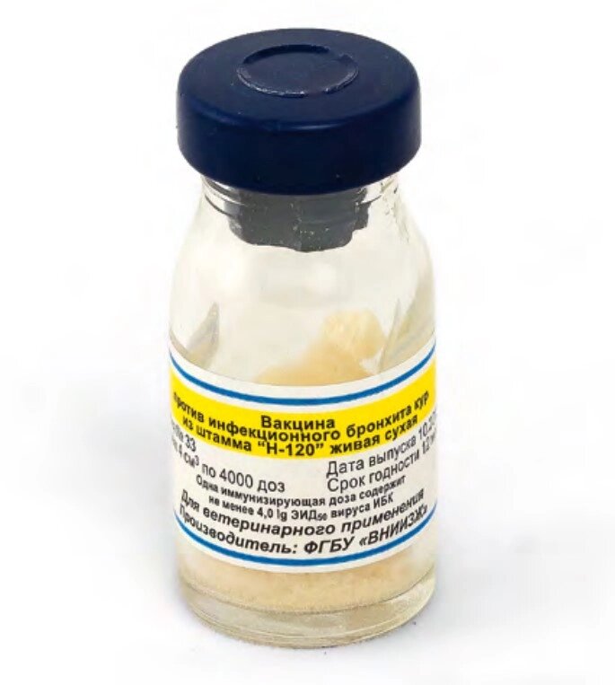 Вакцина ИБК против инфекционного бронхита кур из штамма Н-120 живая, сухая флакон - 4000 доз от компании ООО "ВЕТАГРОСНАБ" - фото 1