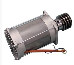 Электродвигатель GARD24 товарной группы GARD, 119RIG047
