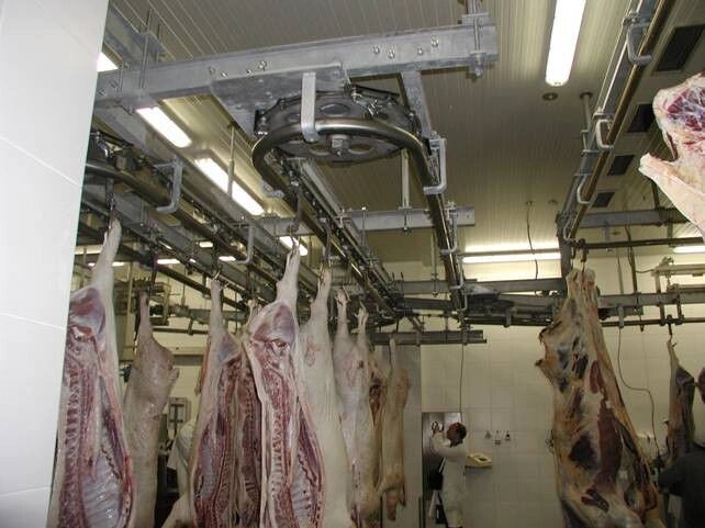 Линия убоя свиней охлаждение от компании ПТФ МИЛА - фото 1