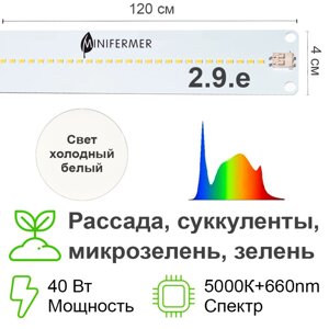 2.9. e Биколор комфорт - Рассада, Микрозелень. Белый свет.