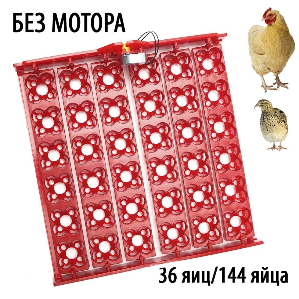 Лоток для инкубатора на 36\144 яиц (ЛТ2) от компании ИП ВОЛОШИН ДЕНИС ГРИГОРЬЕВИЧ - фото 1