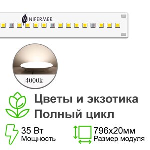 Sunlike 4000 - Универсальный. Белый свет.