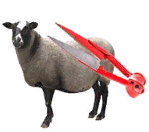 Ножницы для стрижки овец