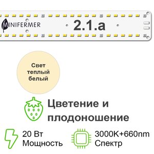 Цветонос 2.1. a Quantum line 300 мм 3000K+660nm