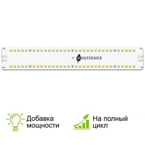 10.3 Quantum line 4000 K
