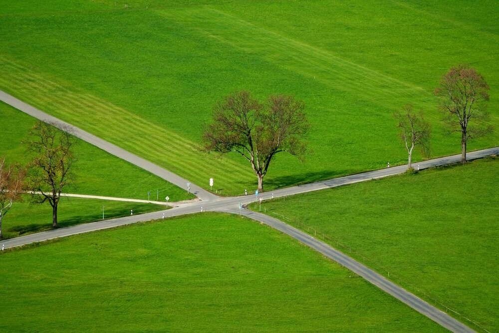 Семена для газона CANADA GREEN LANDSCAPE+ от компании ИП ВОЛОШИН ДЕНИС ГРИГОРЬЕВИЧ - фото 1