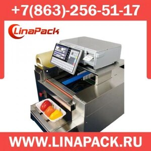 Бюджетный весовой упаковщик CAS Nano в Ростовской области от компании LinaPack