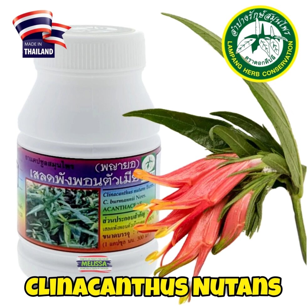 Clinacanthus Nutans Клинакантус Поникающий противовоспалительное противовирусное средство, 100 капс. Таиланд от компании Тайская косметика и товары из Таиланда - Melissa - фото 1