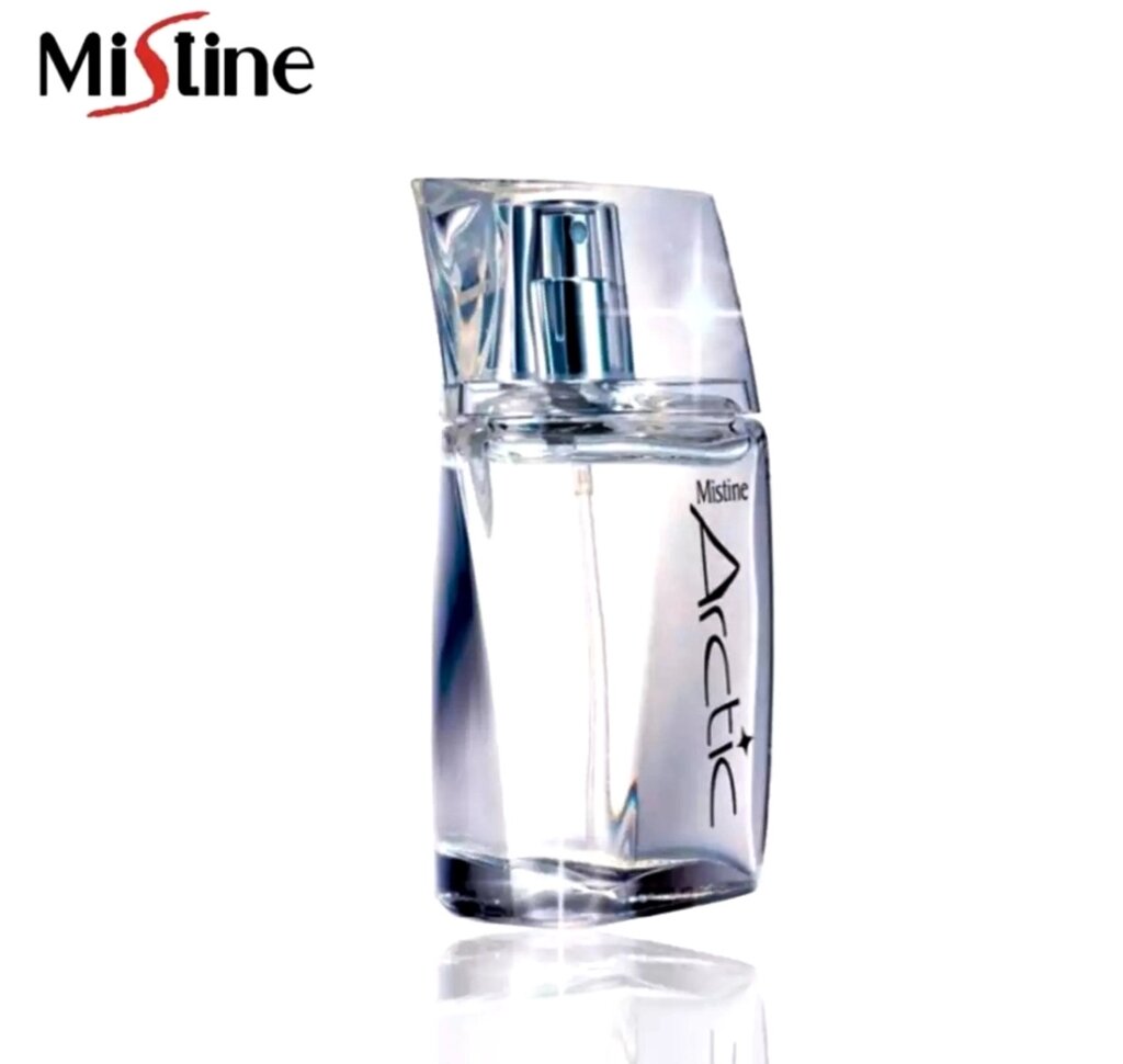 Парфюмированная мужская вода Mistine Arctic Perfume Spray For Men, 50 мл., Таиланд от компании Тайская косметика и товары из Таиланда - Melissa - фото 1