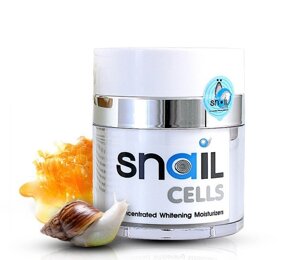 Улиточный увлажняющий крем для лица Bio Skin Snail Cells, 30 мл., Таиланд
