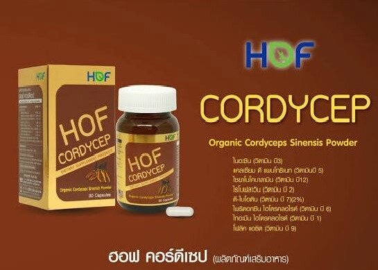 Поливитаминный комплекс Кордицепс Hof Cordycep Organic Sinensis Powder, 30 капсул, Таиланд от компании Тайская косметика и товары из Таиланда - Melissa - фото 1