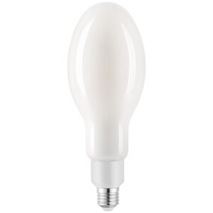 Лампа GLDEN-ED120M-55-230-E27-6500 661644