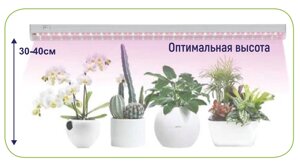 Светильник для фотосинтеза 600мм GLF1-600-8BT-FITO 8Вт светодиодный для растений желтый спектр 475612 в Ростовской области от компании ИП Набока В.М.