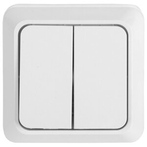 Выключатель 2-кл. открытой установки IP20 10А, белый "Альфа" General 477002