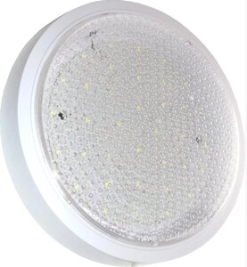 Панель 12Вт 6400К 250х45 мм светодиодная накладная круглая прозрачная UTLED PANEL K Round