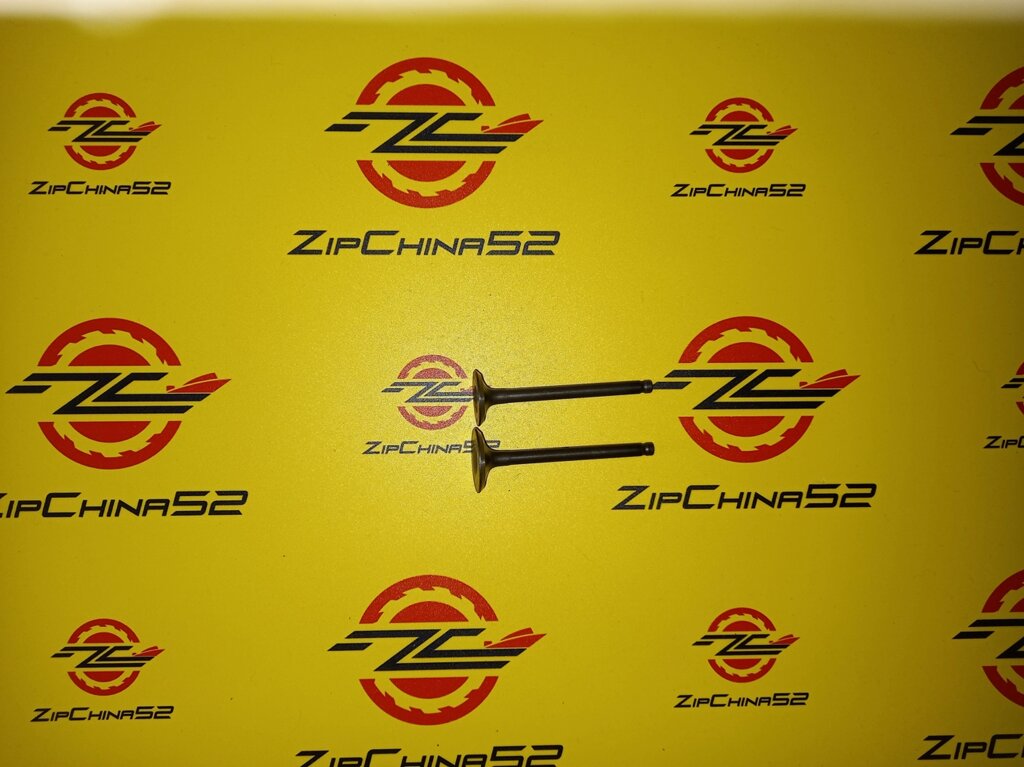 Клапана ГРМ 70-125 см3 мопед ALPHA от компании Zipchina52 - фото 1
