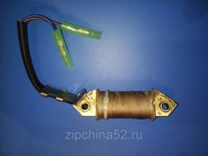 Катушка зажигания для лодочного мотора Yamaha F9.9-15л.с. в Нижегородской области от компании Zipchina52