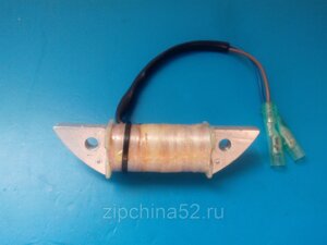 Катушка зажигания Hangkai/ Tarpon 9.9-15F (170-190ОМ) в Нижегородской области от компании Zipchina52