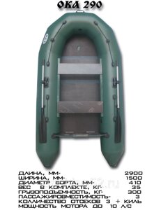 Лодка Ока 290