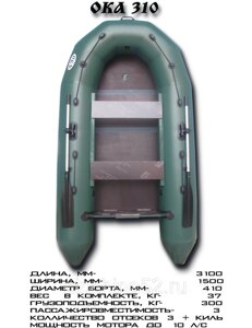 Лодка Ока 310