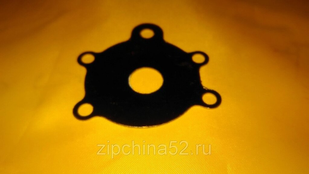 Пластина помпы для лодочного мотора Ветерок от компании Zipchina52 - фото 1