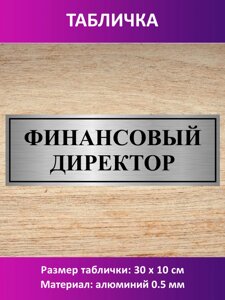 Табличка "Финансовый директор" в Москве от компании Сувенир-принт