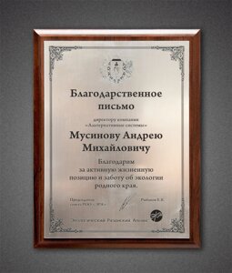 Плакетка с цветным нанесением размер 23х30 см в Москве от компании Сувенир-принт