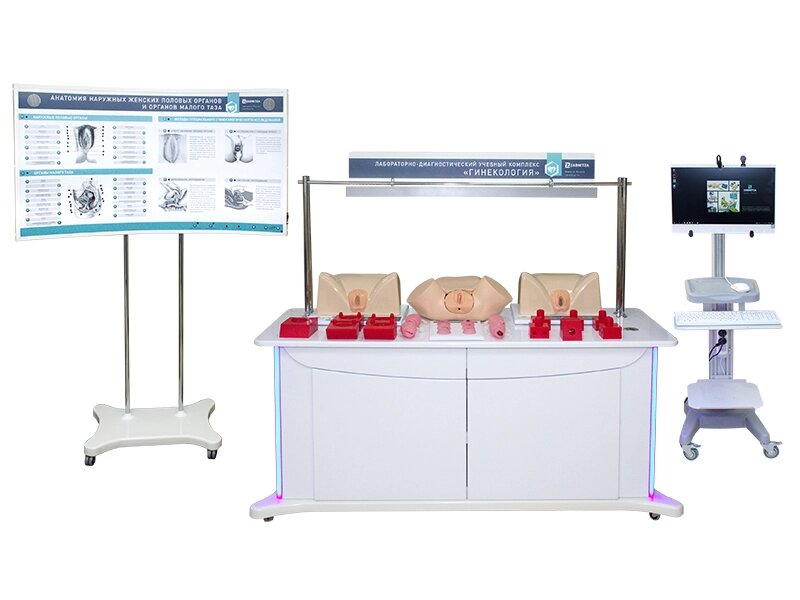 Комплекс учебный лабораторно-диагностический "Гинекология" от компании ООО «ПРОФМЕДТОРГ» - фото 1