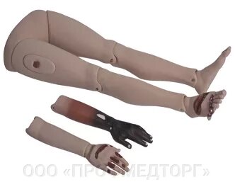 Манекен (модель) травматических повреждений конечностей G110-4 от компании ООО «ПРОФМЕДТОРГ» - фото 1